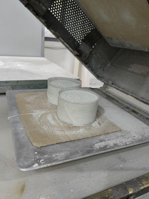 O sal de cura rápido da matéria prima do pó de molde da melamina pulveriza o GV da resistência