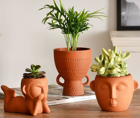Resistência à mancha em vasos de plantas de terracota interiores