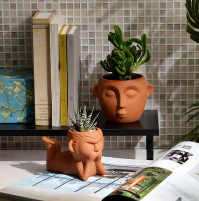 Resistência à mancha em vasos de plantas de terracota interiores