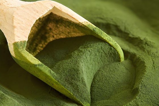 Garrafa verde escuro em pó Composto de moldagem de melamina de qualidade alimentar Composto de moldagem de melamina de excelente qualidade